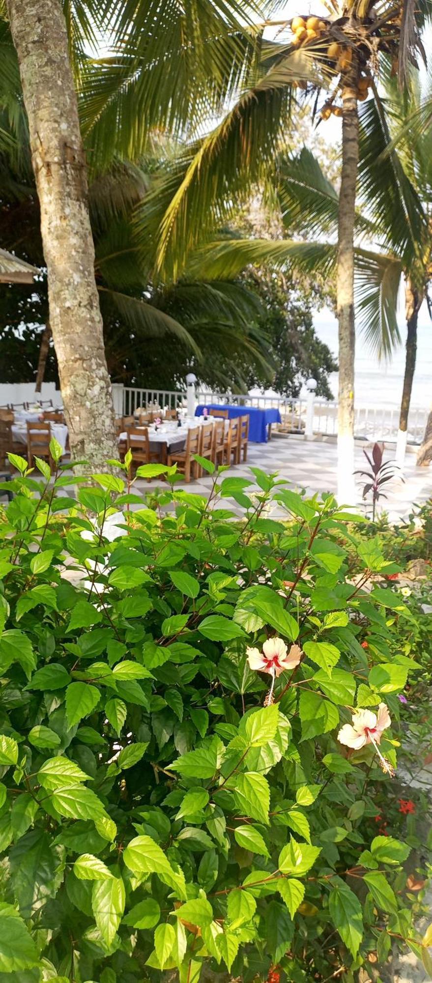 Residence Callens Kribi Ngoại thất bức ảnh